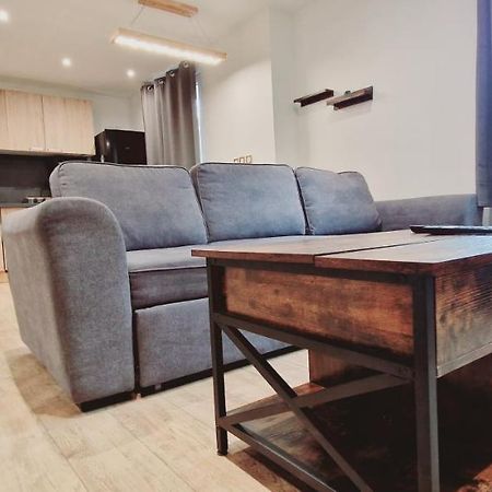 Le Claudius Apartment Annecy Bagian luar foto
