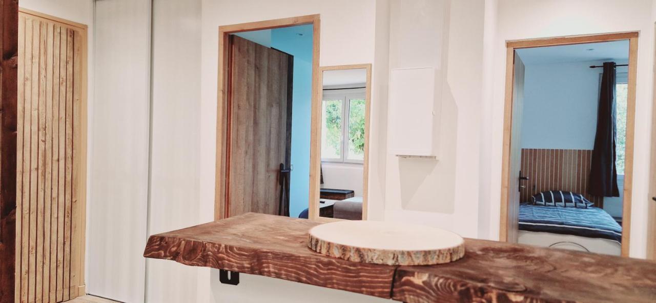 Le Claudius Apartment Annecy Bagian luar foto
