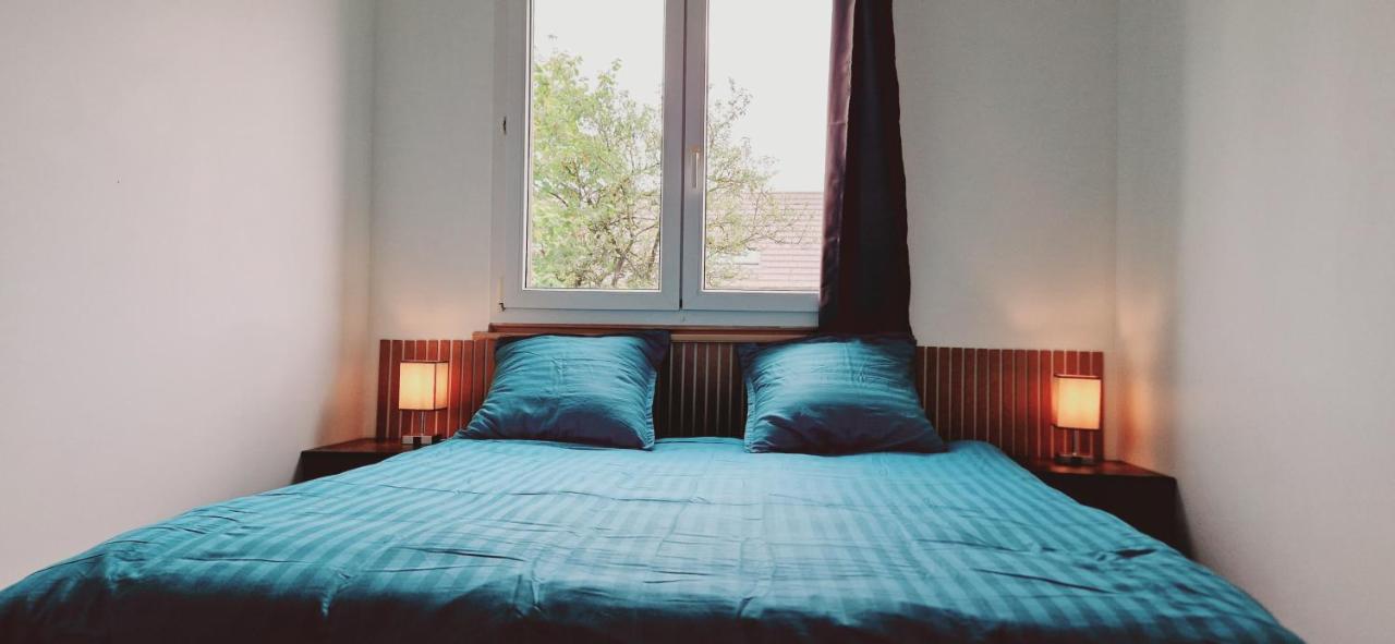 Le Claudius Apartment Annecy Bagian luar foto